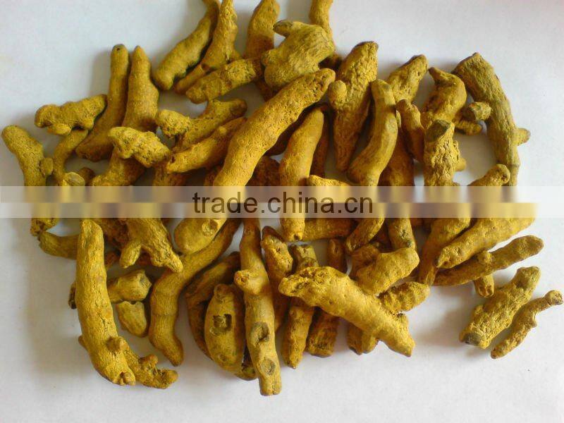 Dehydrated Slices Turmeric