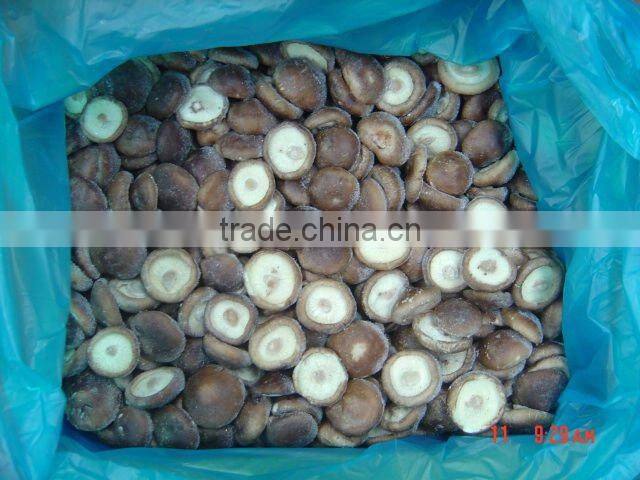 Supply new season frozen mushroom mixed