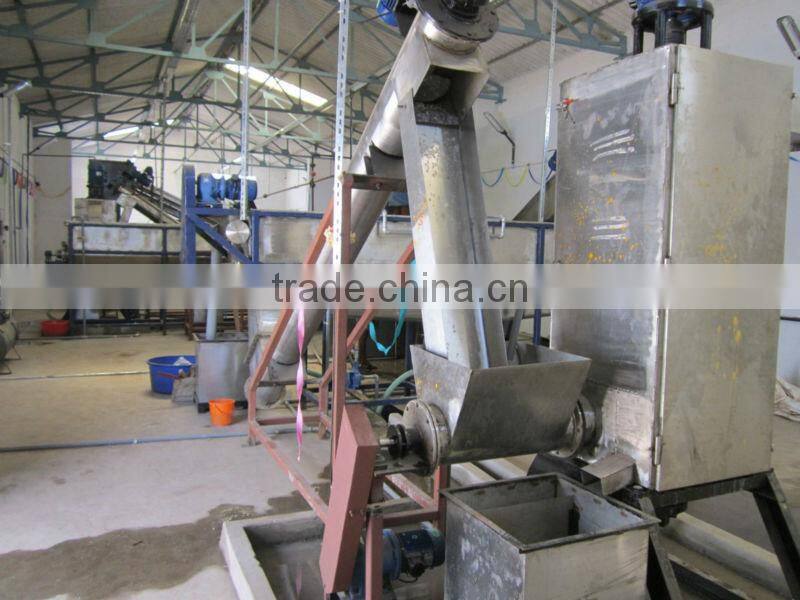 Recycled fiber grade PET chips washed