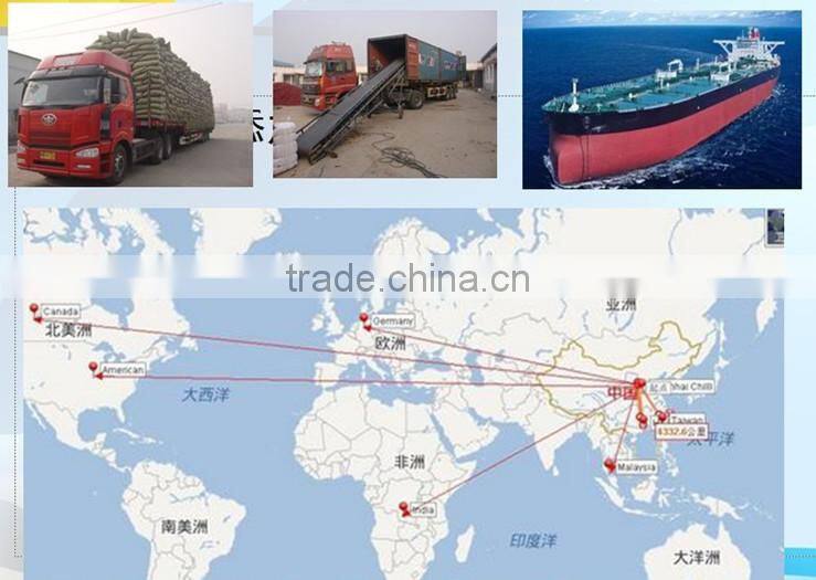 Dehydrated vegetable air dried white garlic