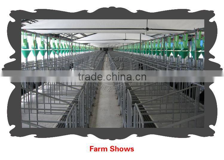 2.0mm Galvanized Pipe Pig Limit Crate Swine Gestation Cage for Pig Farm Equipment