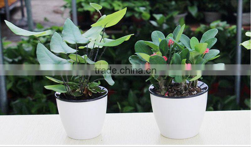 round colorful self watering flower pot