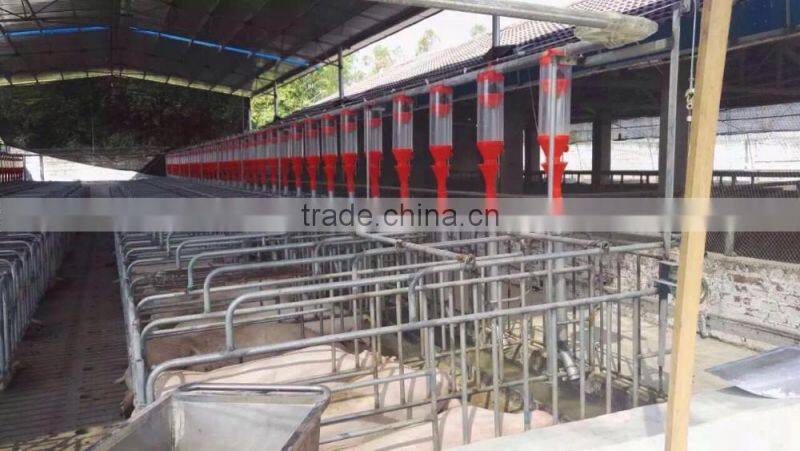 pig farming equipment for piglets