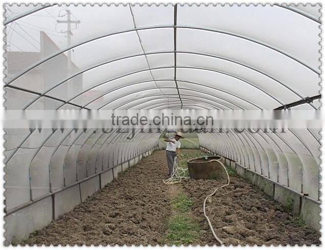 Insect mesh net for agricultural protection