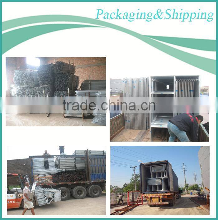 Customized Q195 Q235 Q345 Hot Dip Galvanized Scaffolding Ladder