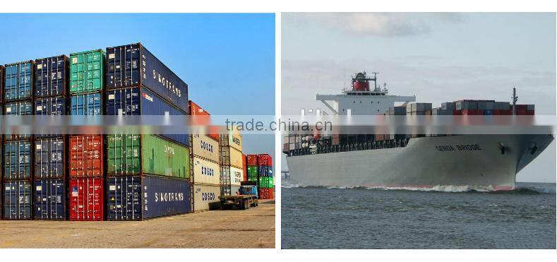 Electric Fuel Pump OEM 0580464038 for Peugeot Citroen