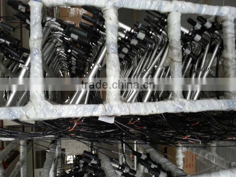 10 inch lead batteries scooter ,two wheel balance folding scooter