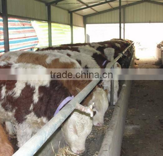 Movable Tractor mounted grass cutter