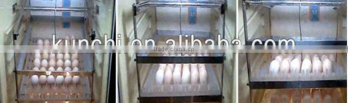 2013 newest and automatic chicken egg incubator with good price