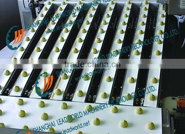 biscuit reverse & inclined conveying system