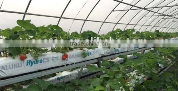 Rock wool grow bag/cube for greenhouse hydroponic