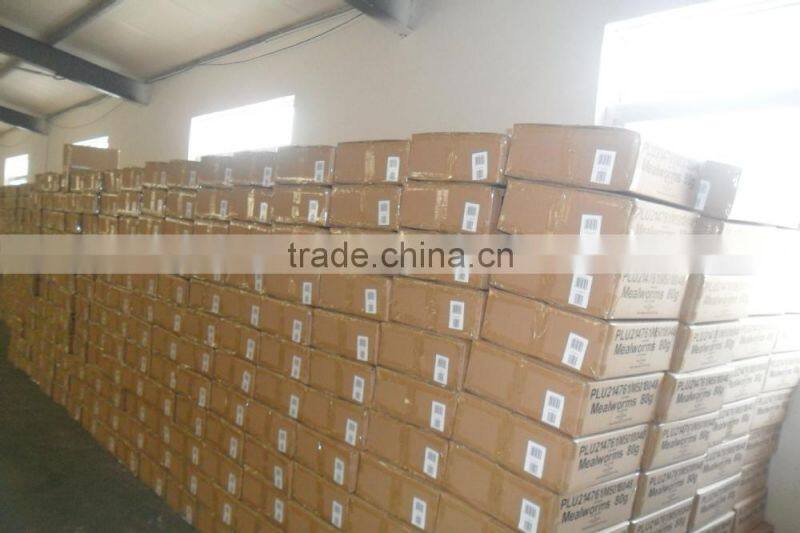 Microwave Dried Crickets For Insect Protein Material