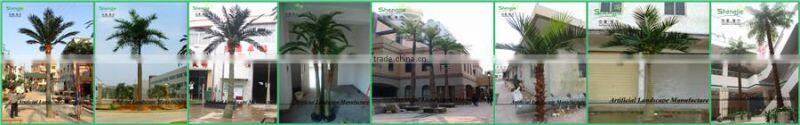 factory direct high quality Palm tree with cheap price palm tree for shopping mall decoration