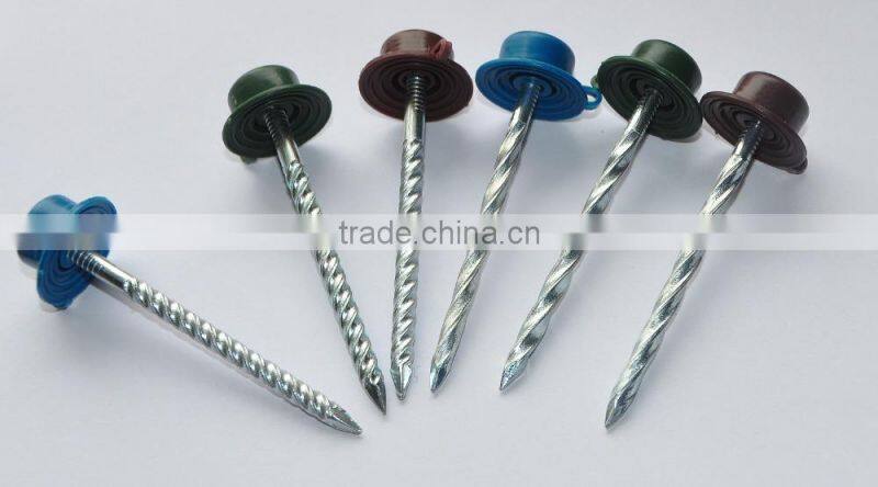 Roofing nails with plastic cap