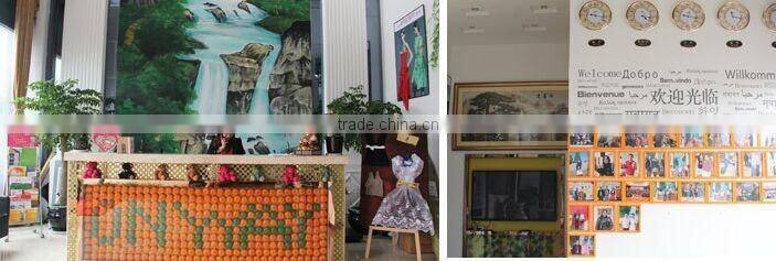 new design suede print dyeing with brids for girl's garment 100%poly printed georgette 110gsm