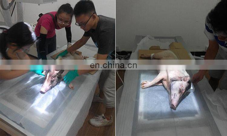 MY-W004A Newest Veterinary hospital equipment 200mA HF X-Ray Machine For Vet Use