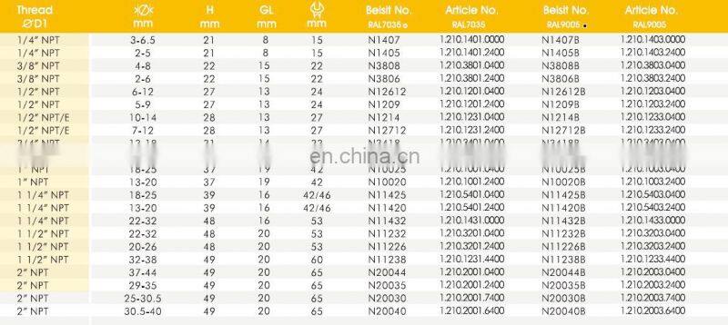 Wiring Accessories Manufacturer Beisit IP68 Waterproof 1/2" NPT Series Nylon cable glands