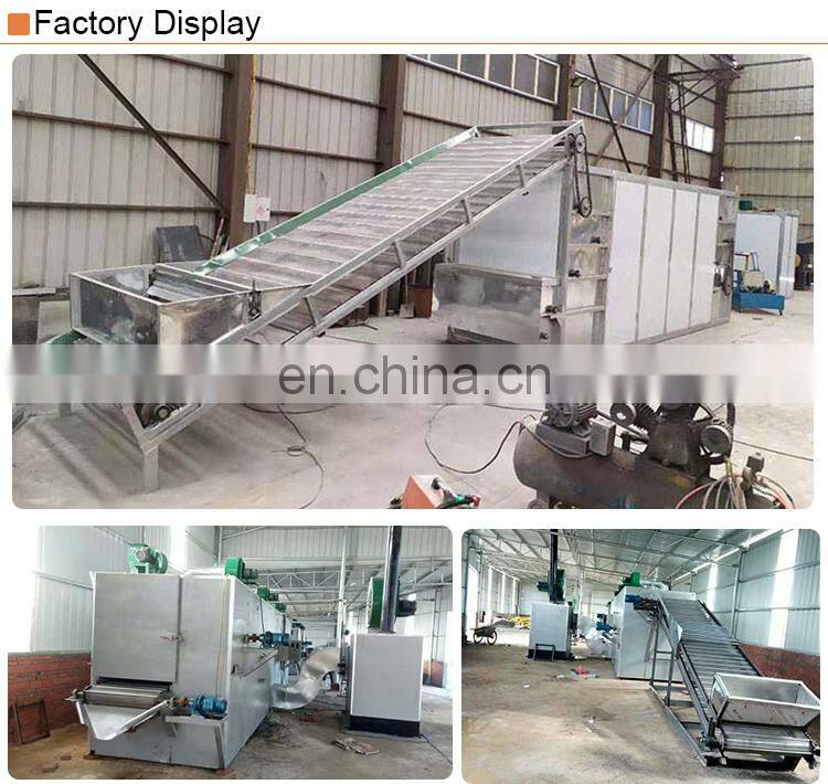 Automatic papaya drying fish machine fruit dehydrator in Ghana