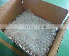 PE plastic tube for lip gloss with UV screw cap