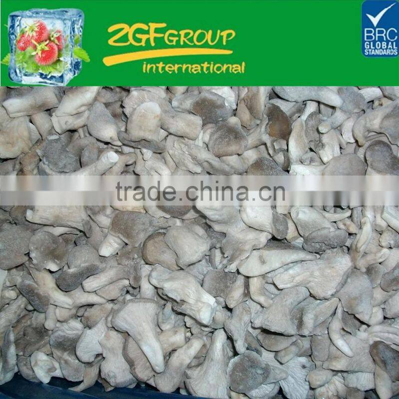 Chinese Grade A IQF Frozen Baby Oyster Mushroom
