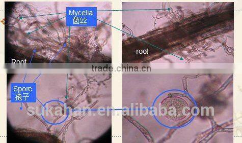 Biological Composting Agent for Making Fertilizer