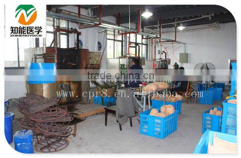 23cm Troditional Chinese Massage Used Human Ear Model