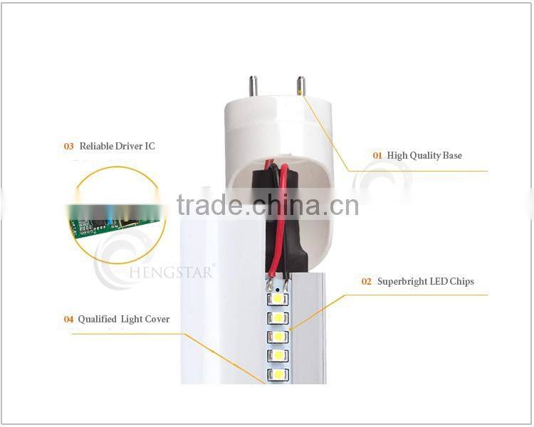 4ft T8 led tube light led zoo animal video tube