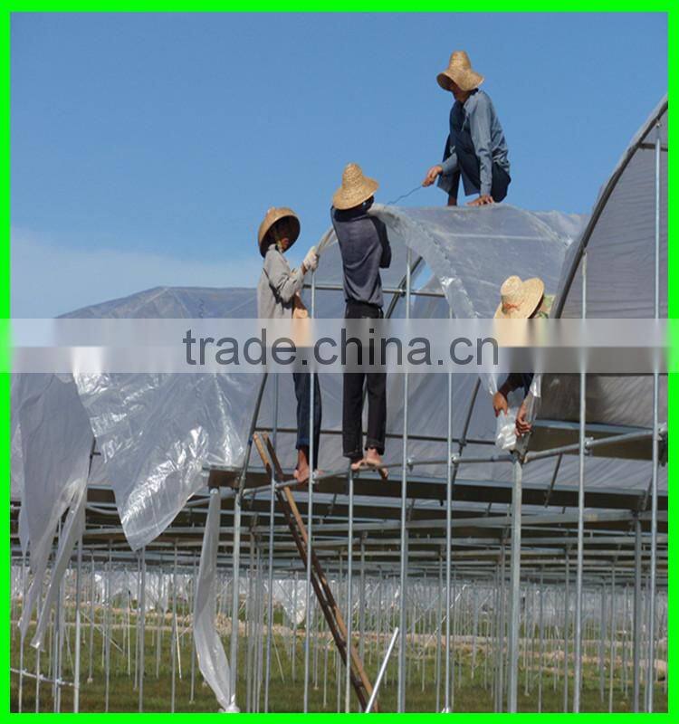 Suntex virgin PE protective anti-aging impervious greenhouse film,tunnel greenhouse roof covers seeding nursery warm house film