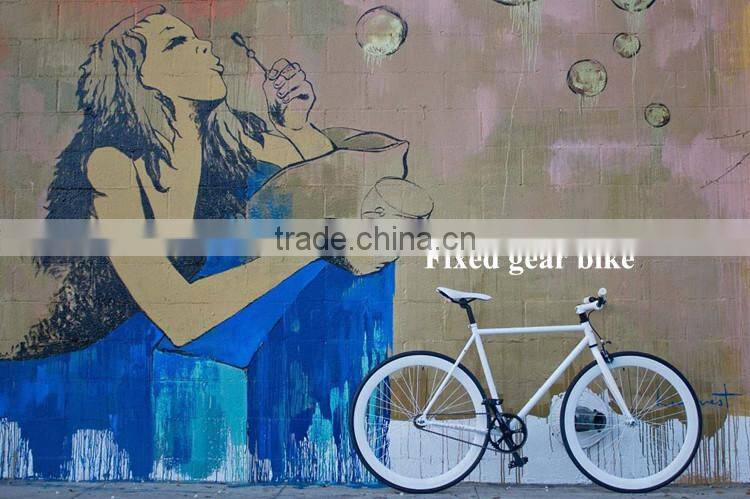 china bicycle manufacturer 700c fixed gear bike/single gear bike with fixed gear frame (PW-F700C320)