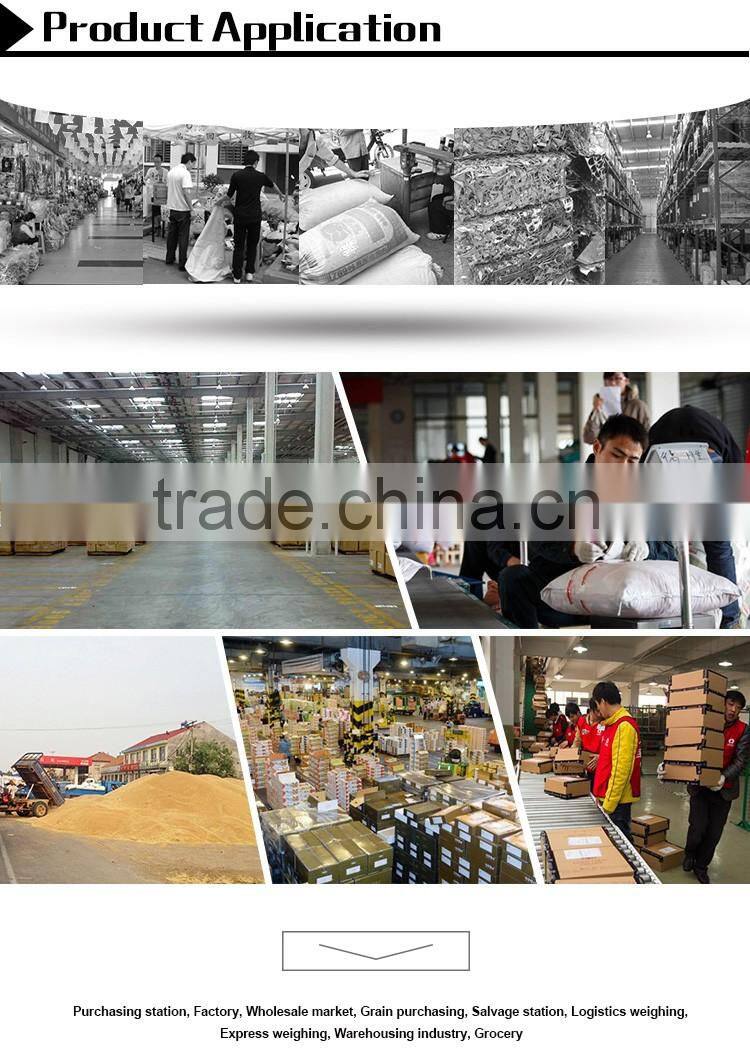 High Precision Price Type Platform Weighing Scale