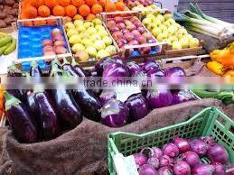 Original Fresh Eggplant made in Viet Nam- best price