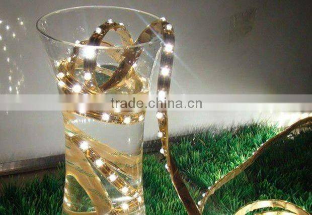 China 3528 epoxy IP65 flexible LED strip ribbons