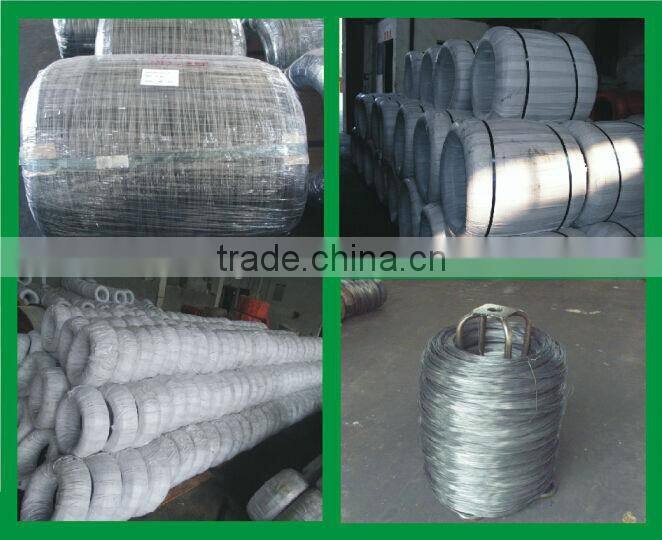 ACSR steel reinforced aluminium conductor