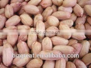 Peanut kernels in long shape for sale