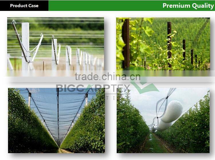 43 grm HDPE Agriculture Leno anti hail net