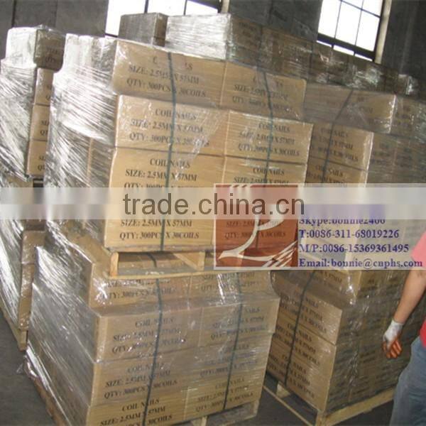 Smooth shank Coil roofing nail