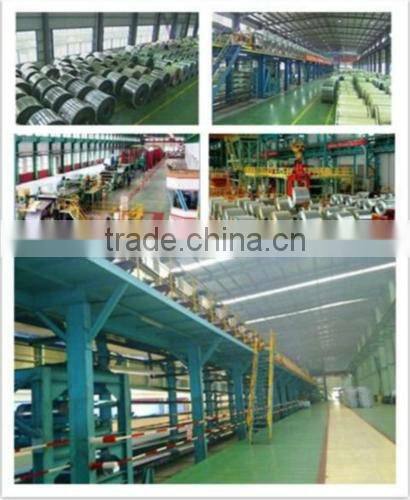pre-painted galvanized steel coil