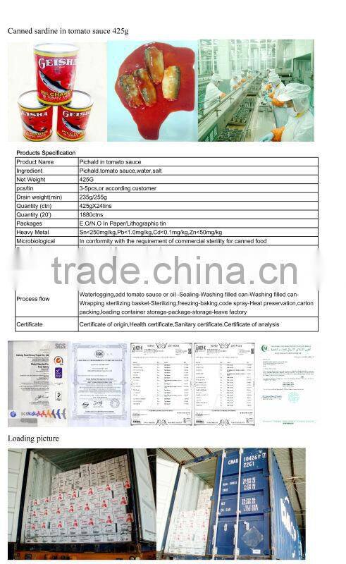 pacific mackerel mackerel in tomato sauce