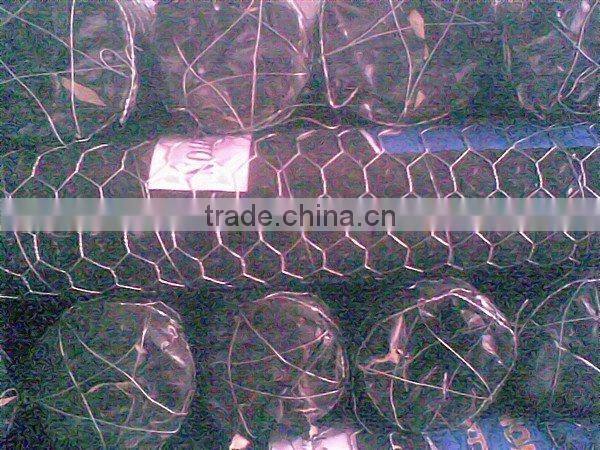 Hexagonal Wire Netting fence