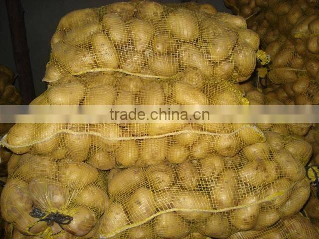 2015 new crop of fresh potatos mesh bag packing potato from China for wholesale