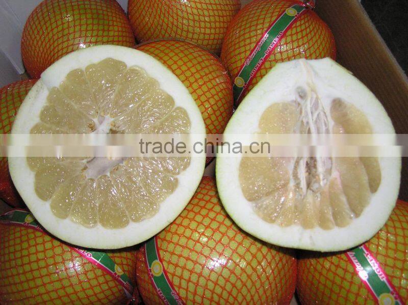 Citrus Fruits New Crop Wholesale Prices of Pomelo