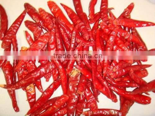 HOT SPICY RED CHILI EXPORTER
