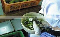 Hot-selling and Famous japanese herbs and spices pepper yuzu , sample available