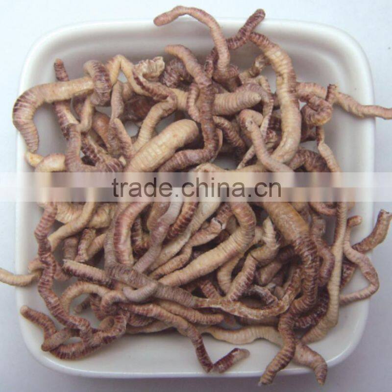 Freeze dried earthworm