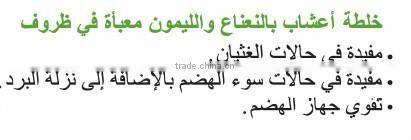 Filtering Mint and Lemon Mixed Herbal Tea Bags