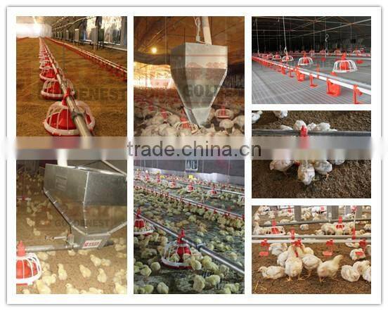 Goldenest good price Automatic poultry farm equipment for chicken baby chick feeder feeding system for sale JCJ01-OP04
