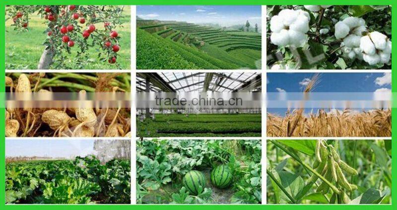 NPK water soluble fertilizer