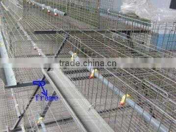 layer chicken cage for hens