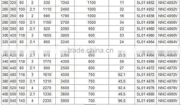 Cylindrical Roller Bearing SL01 4880