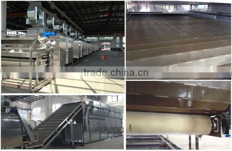 Vegetables and fruits dehydrator chilli drying line